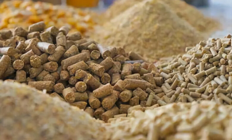 alimentation animale