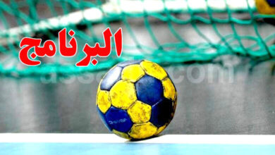 handball programme