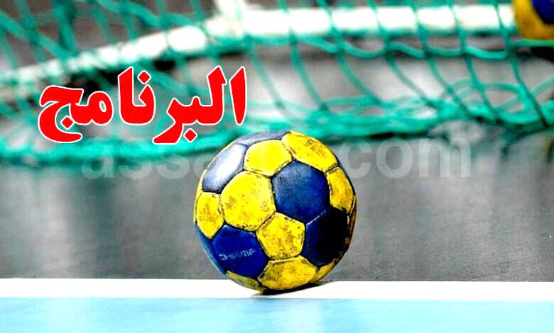 handball programme