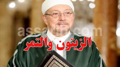 hichem ben mahmoud