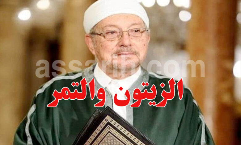hichem ben mahmoud