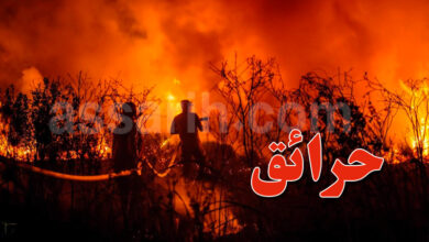 incendies algérie