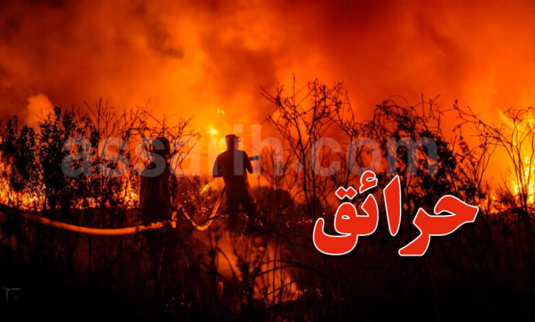 incendies-algerie-780x470