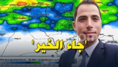 mehrez-ghannouchi