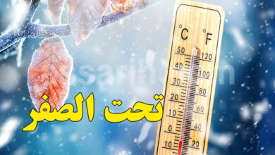 meteo