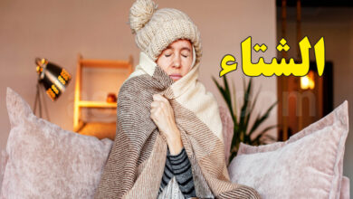 meteo froid