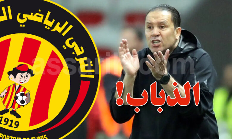 nabil maaloul
