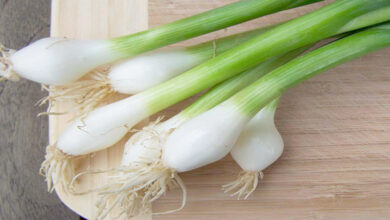 oignons