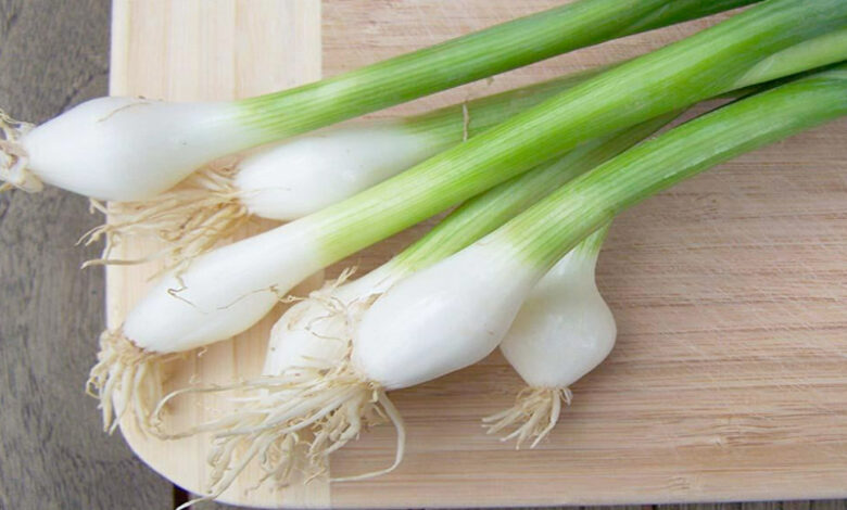 oignons