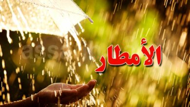 pluie
