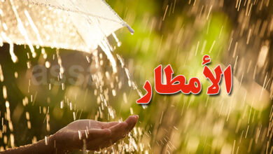 pluie
