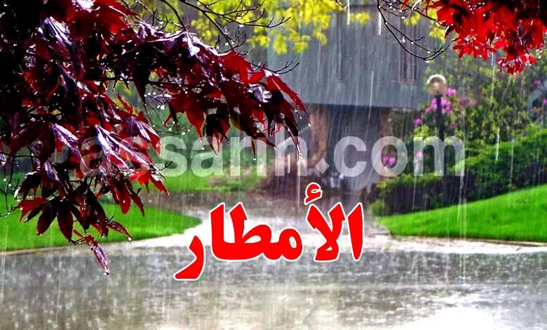 pluie
