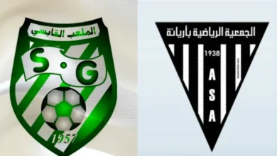 sgabesien - asariana