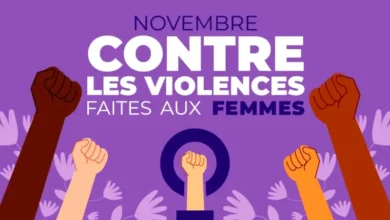 violence contre les femmes nov 2025