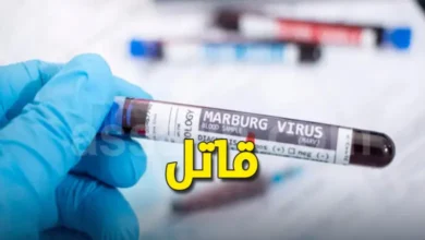 virus-marburg-780x470