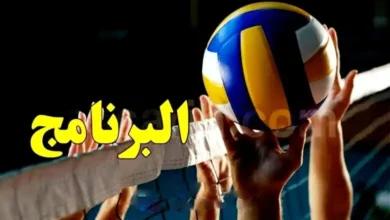volleyball programme