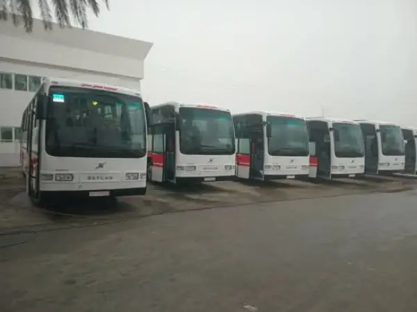 BUS