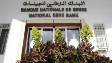 Banque nationale de gènes