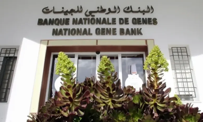 Banque nationale de gènes