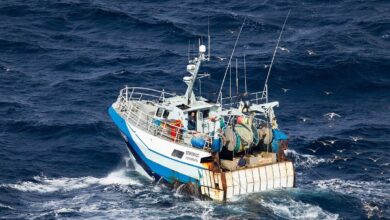 Bateau de peche
