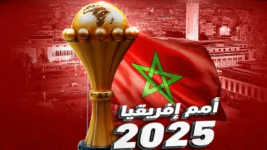 Coupe d'afrique des Nations (2)