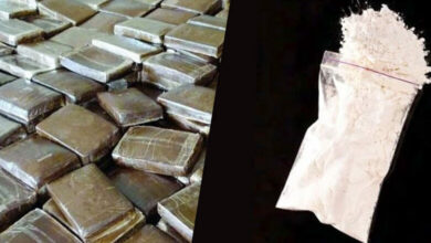 DROGUE-780x449