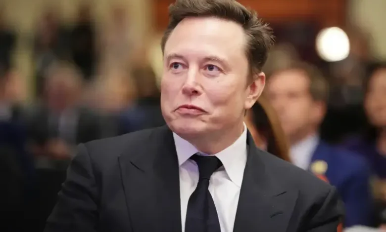 Elon Musk (1)