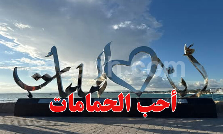 J aime Hammamet