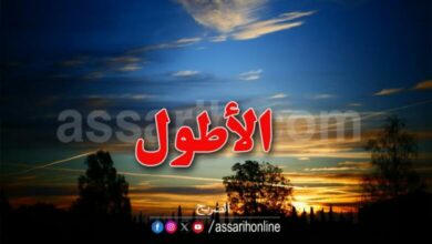 La-nuit-la-plus-longue-de-lannee-780x470