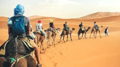 Tourisme à Gébili (1)