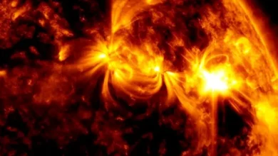 Une éruption solaire de forte intensité a été observée ce matin, lundi 8 décembre 2025.