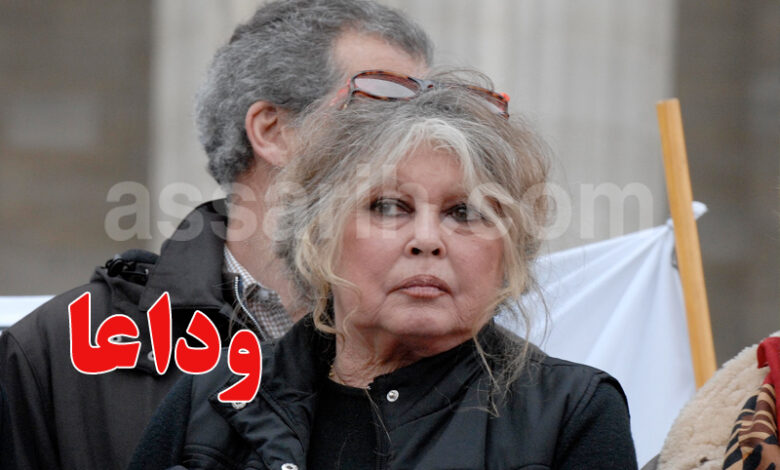 brigitte bardot