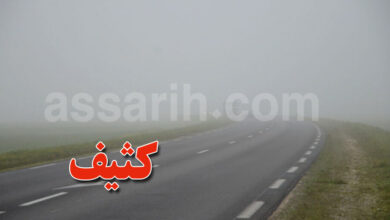 brouillard