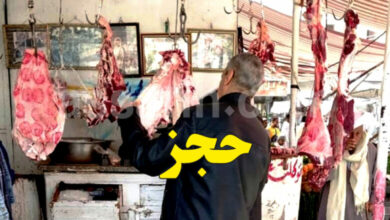 controle-viande-780x470