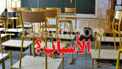 ecole-primaire-1-780x470