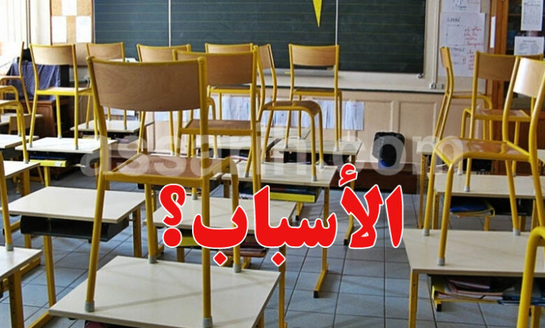 ecole-primaire-1-780x470