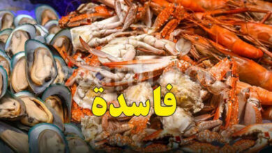 fruit de mer