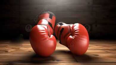 gants de boxe