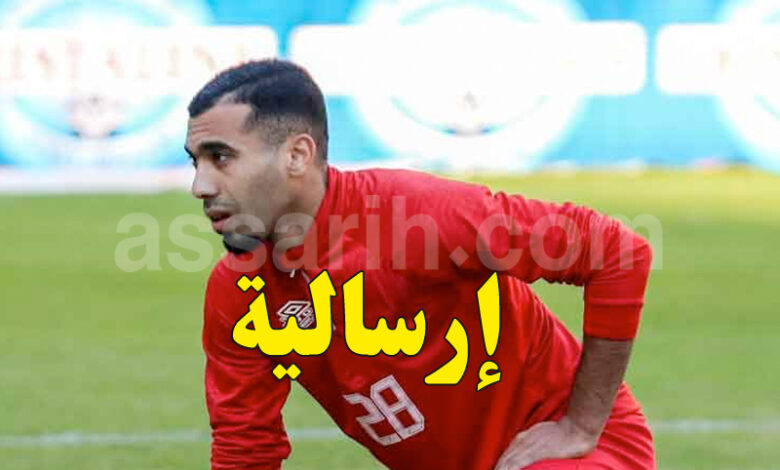 hamdi labidi