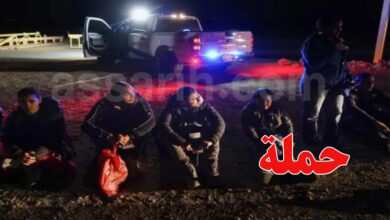immigration Texas