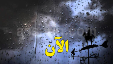 meteo