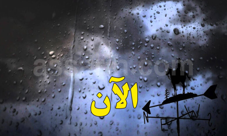 meteo