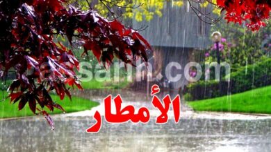 pluie