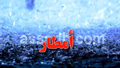 pluies