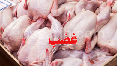 poulet