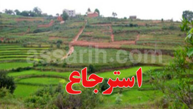siliana tunis