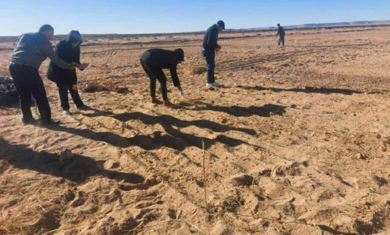 tataouine tunisie