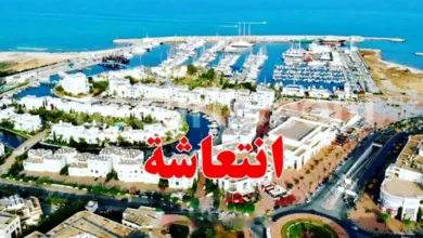 tourisme-Yasmine-Hammamet-780x470-1