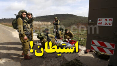 tsahal syrie