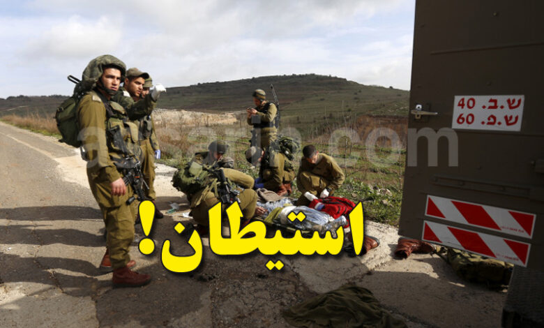 tsahal syrie
